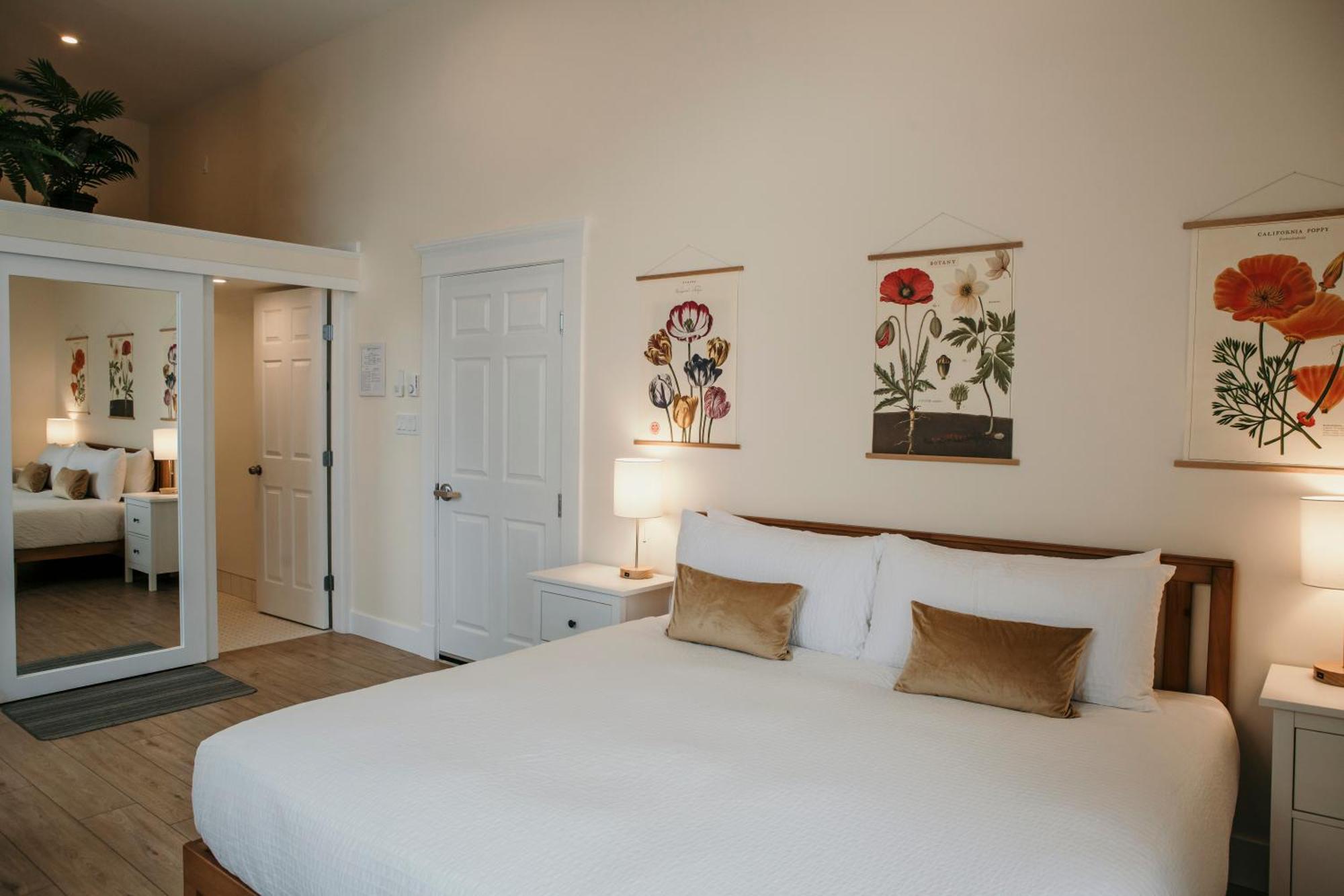 Stirling All Suites Hotel Nelson Rum bild